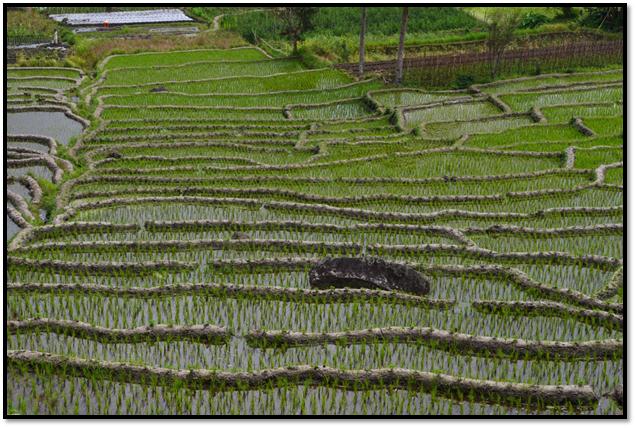 Description: C:\Users\Cheryl\Desktop\Indonesia\Flores Island\Three Lakes & Market\DSC_0089.JPG