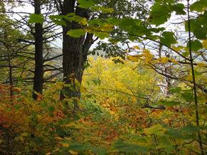 m_Blue Ridge Mountains 040usa.jpg