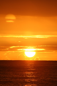 JPEG image