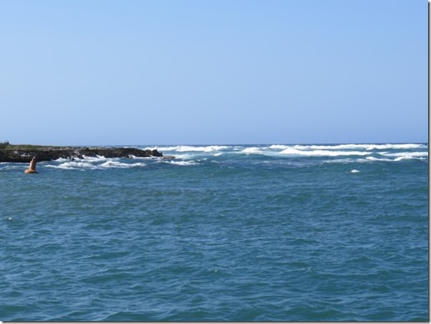 visasmallThe reef off the entrance to Ocean World Marinadavid