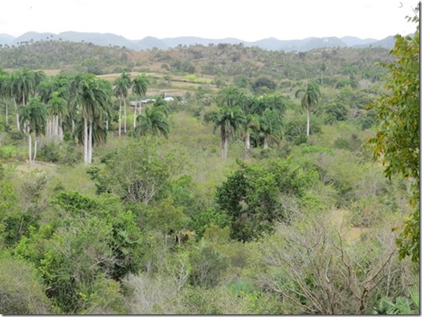 visasmallMirador off the road between Sainta Lucia and Puerto de Vitadavid