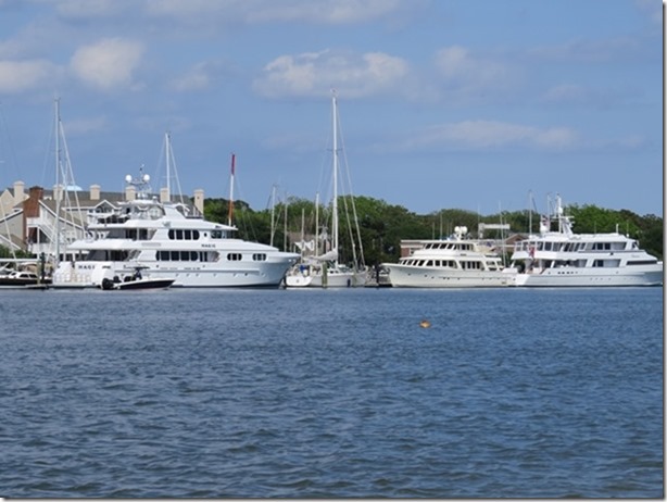 visasmallAlcedo in the town dock at Beaufortdavid