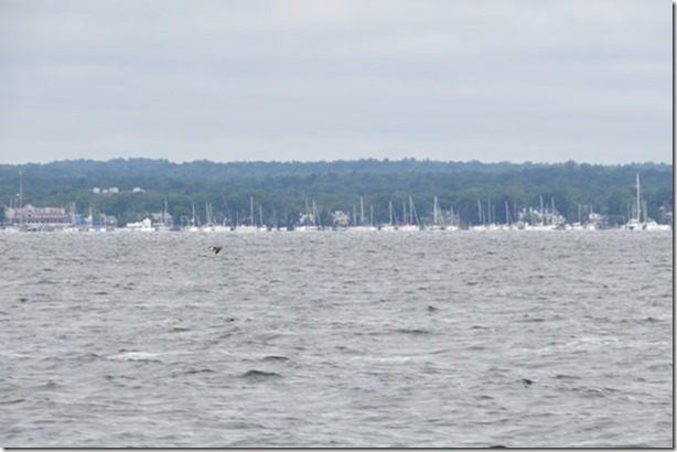 visasmallYachting centre, Centre Island, at the Western end of Long Island Sounddavid