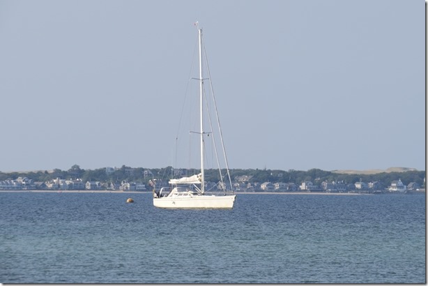 visasmallAnchored in the bay, Provincetown in the backgrounddavid