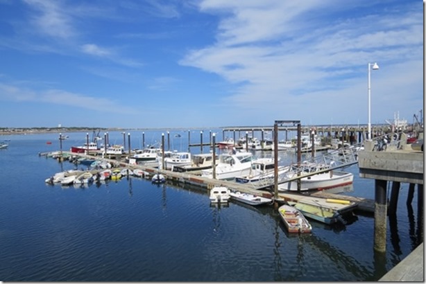 visasmallThe harbour at Provincetowndavid