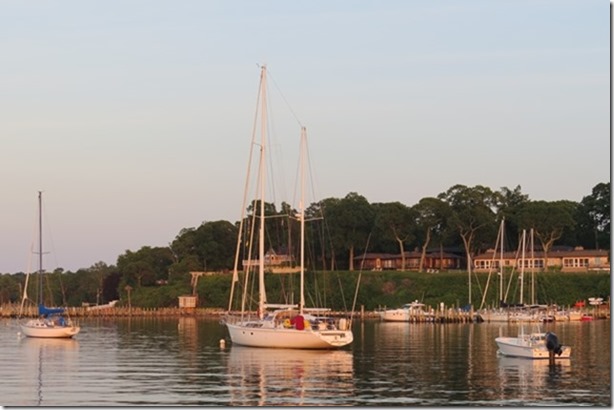 visasmallLily in Dering Harbour in the evening lightdavid