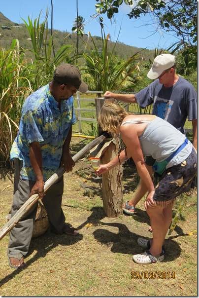 betasmallGetting sugar out of the sugar cane