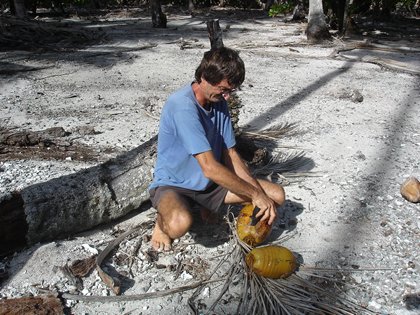 abrador do coco