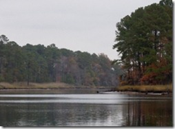 Dismal_Swamp_037