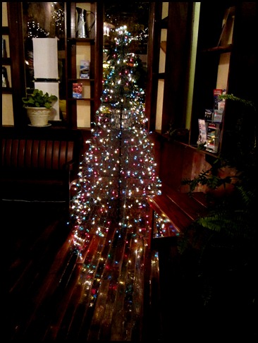 Beaufort Christmas Tree 025