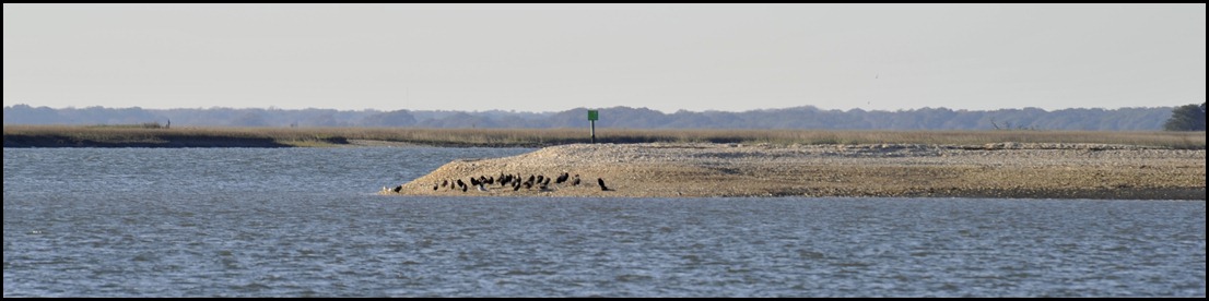 BF To Fort Frederica GA 004