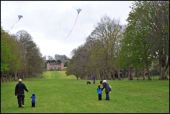 BF Kite Flying 021