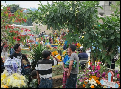 BB Kite Festival 201