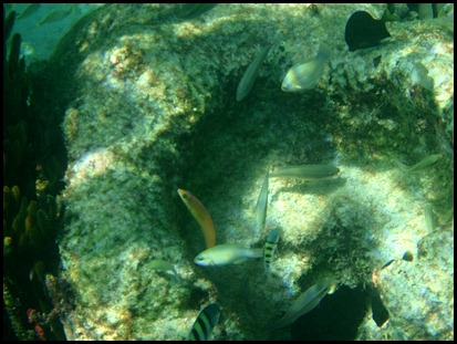 PB Snorkel Belize 045