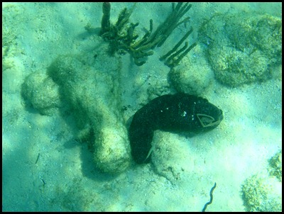 PB Snorkel Belize 023