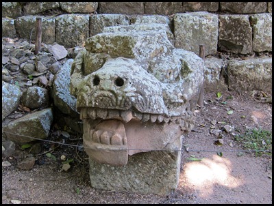 BB Copan Ruins and Birds 119