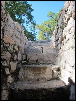 BB Copan Ruins and Birds 081