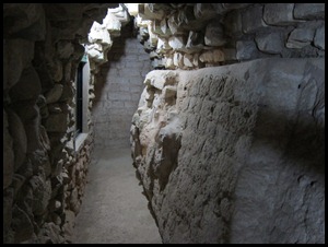 BB Copan Ruins and Birds 088