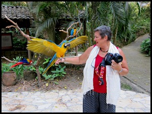 BB Copan Ruins and Birds 210