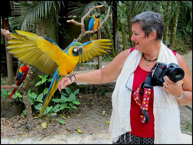 BB Copan Ruins and Birds 212