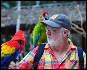 BF Copan Ruins and Birds 336