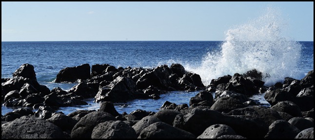 BF Isla Lobos 053