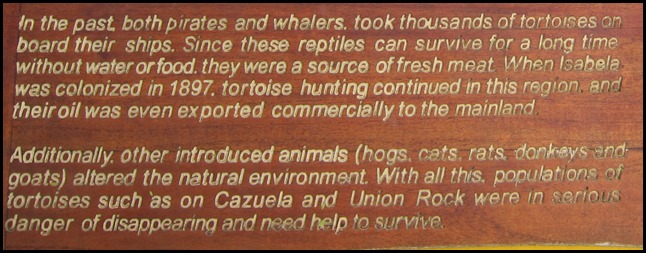 BB Tortoise Breeding Centre 043