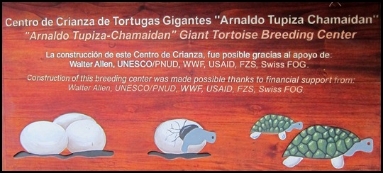 BB Tortoise Breeding Centre 025