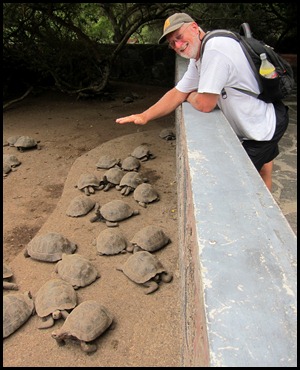 BB Tortoise Breeding Centre 091