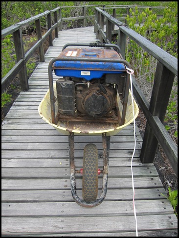 BB Tortoise Breeding Centre 125