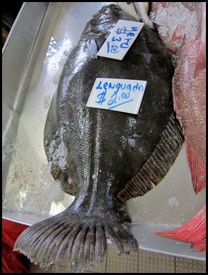 BB Fish Market Panama 025