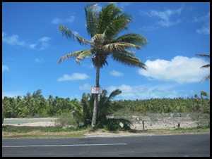 BB Aitutaki Car Day 029