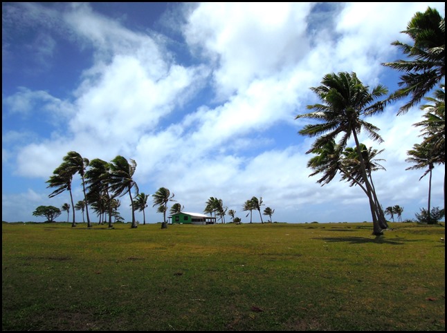 CP Aitutaki Car Day 015