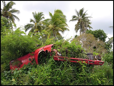 CP Nukualofa Car 040