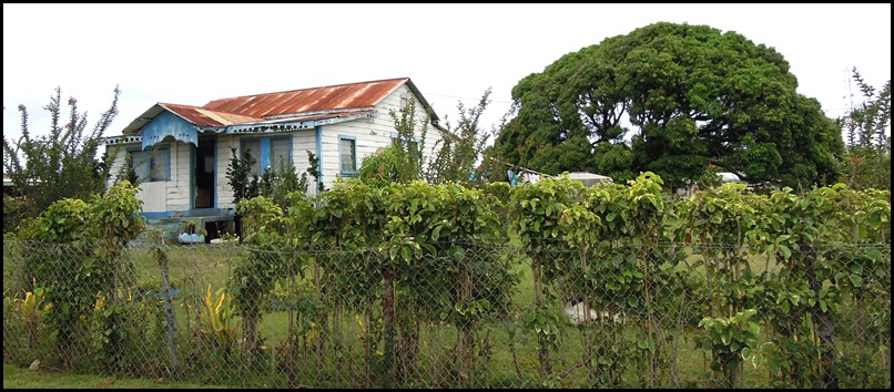 CP Nukualofa Car 082