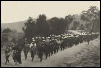 Nearing Springwood, Blue Mountains