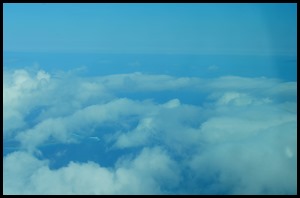 DSC_0732