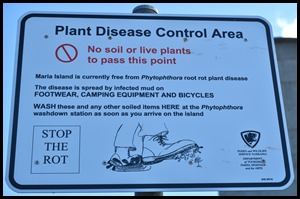 Plant Disease Prevention