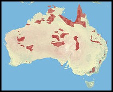 Brumby Map