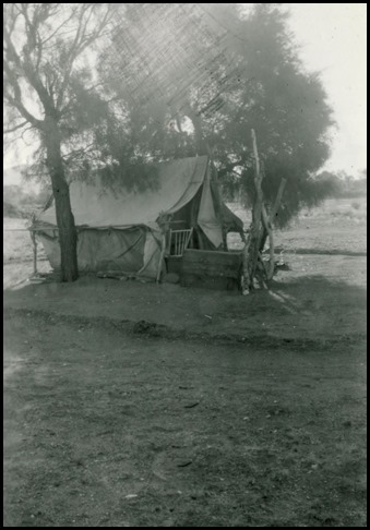 Olive's Tent