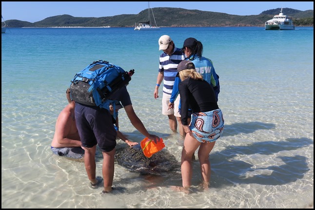 Elizabeth Sutton x Spray Ground Eden Rock - St Barths Jeep Backpack