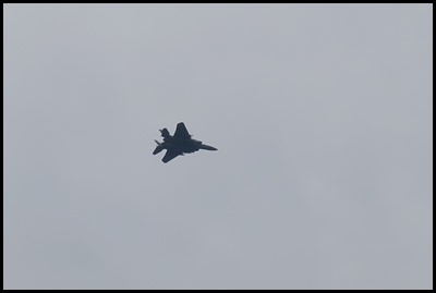 IMG_8247