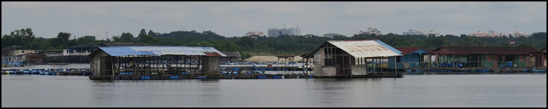 IMG_8264