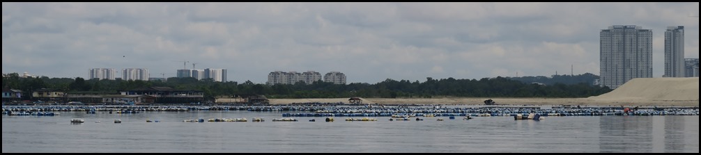 IMG_8263