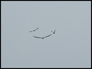 DSCN1061