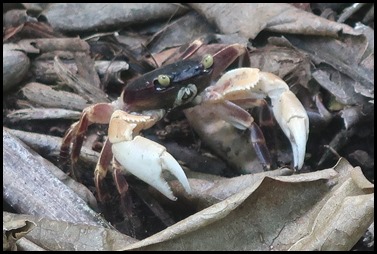 Eco Crabbing at Padstow – UK Active Outdoors Blog