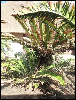 PB160078