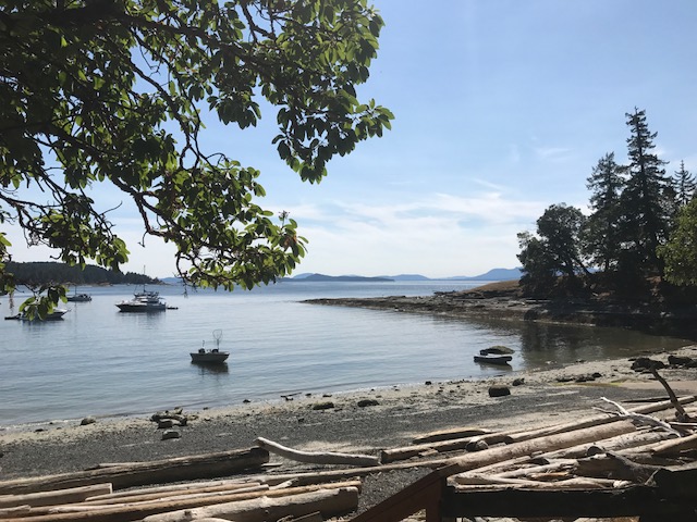 image6.JPG