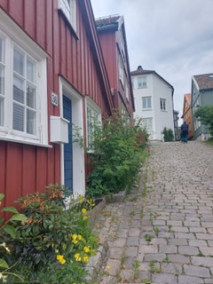 image6.jpeg