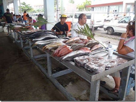 Tour Fish Market 291